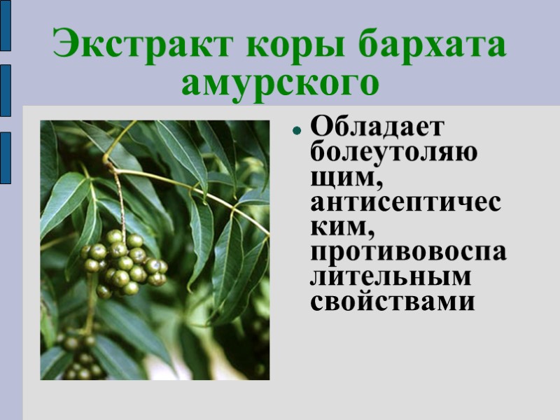 Экстракт коры бархата амурского Обладает болеутоляю щим, антисептичес ким, противовоспалительным свойствами
